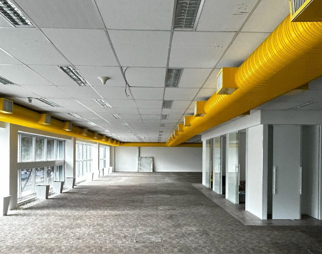 WhatsApp Image 2026-03-12 at 09.36.46.jpeg